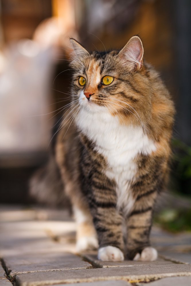 Photograph by Ирина Бобрешова