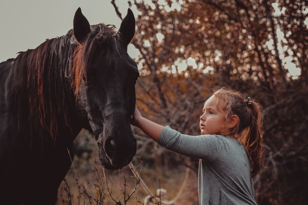 Случайная встреча