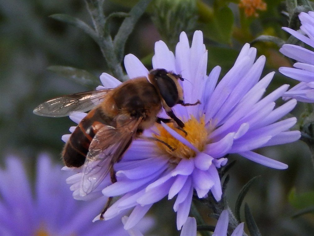 Photograph by Ирина Самойленко