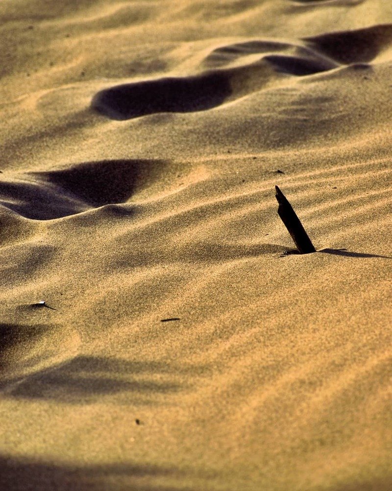 Photograph by SIMONE CIULLI