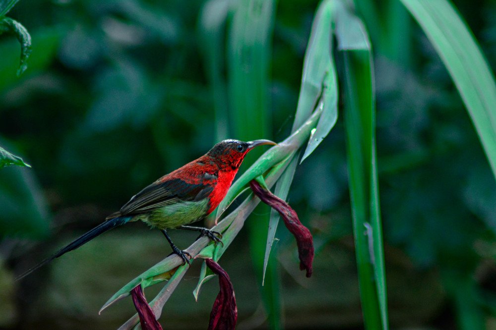 Photograph by Amit Bhandari