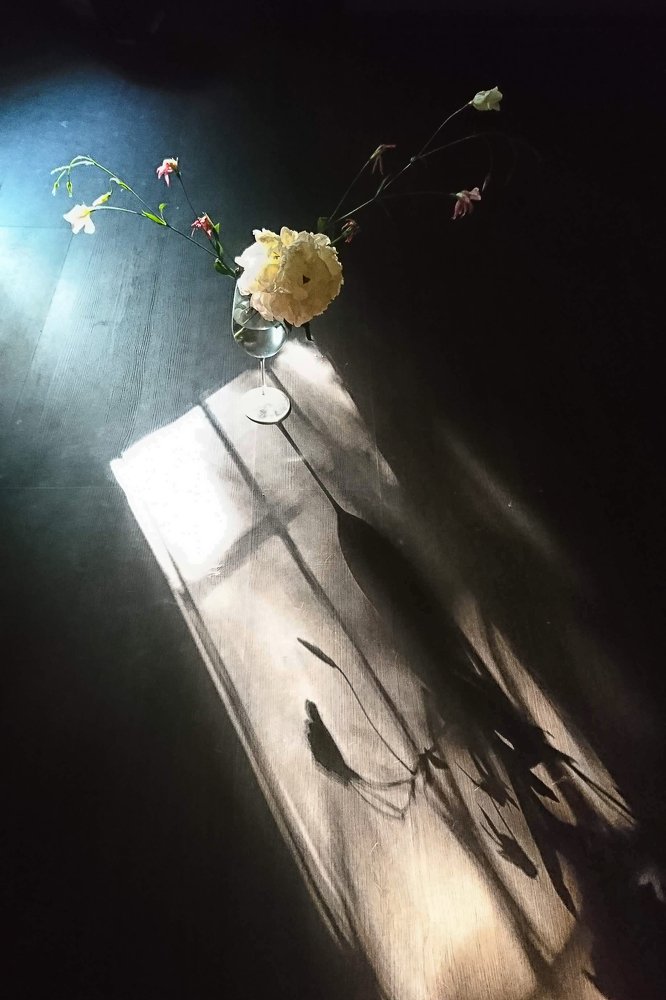 Фотография автора Анна Петина