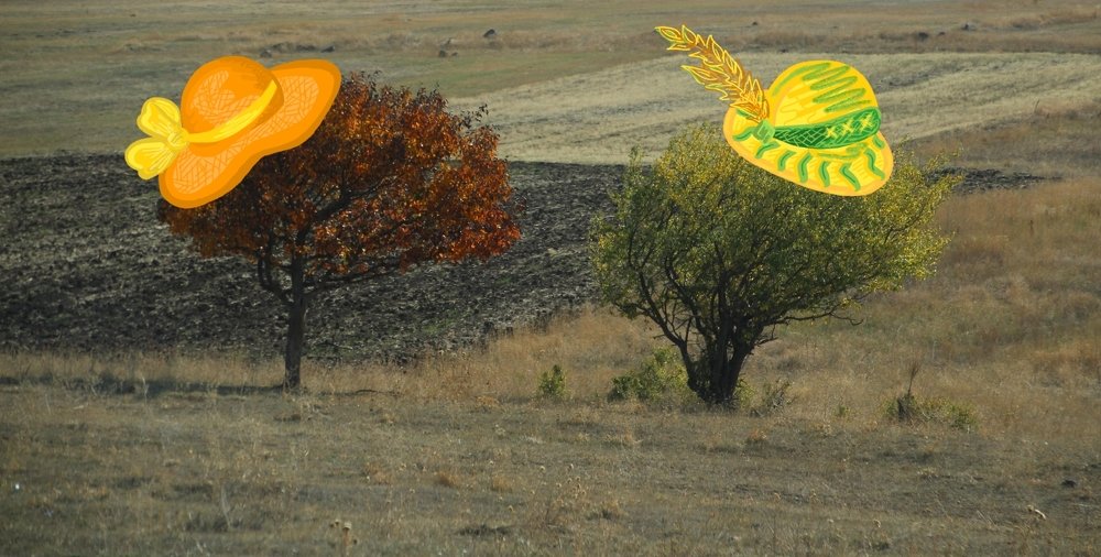 Чудесная шляпка у вас, сударыня!