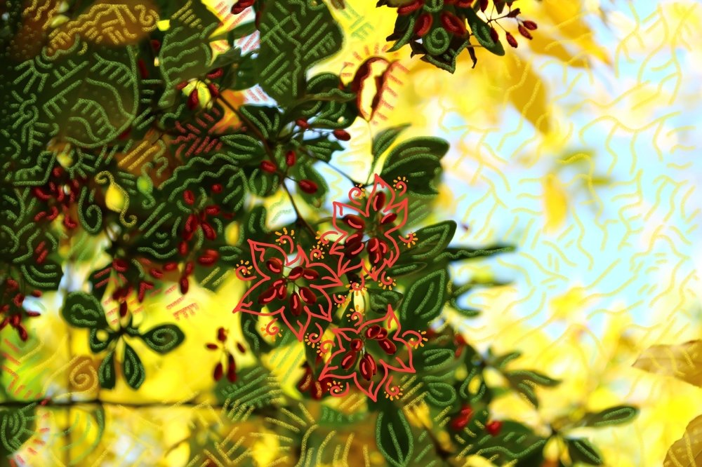 Осенняя зарисовка