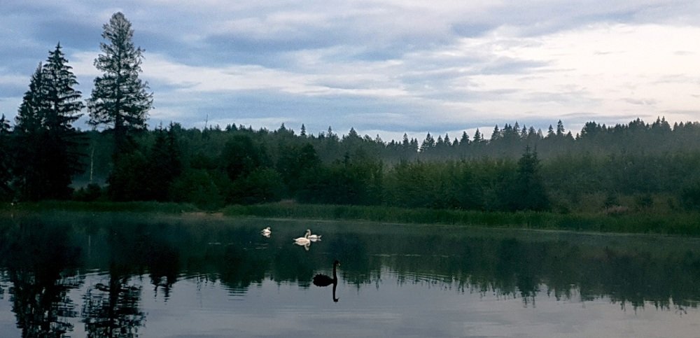 Photograph by Алина Веремеенко