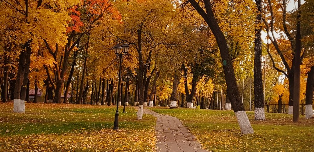 Photograph by Алина Веремеенко