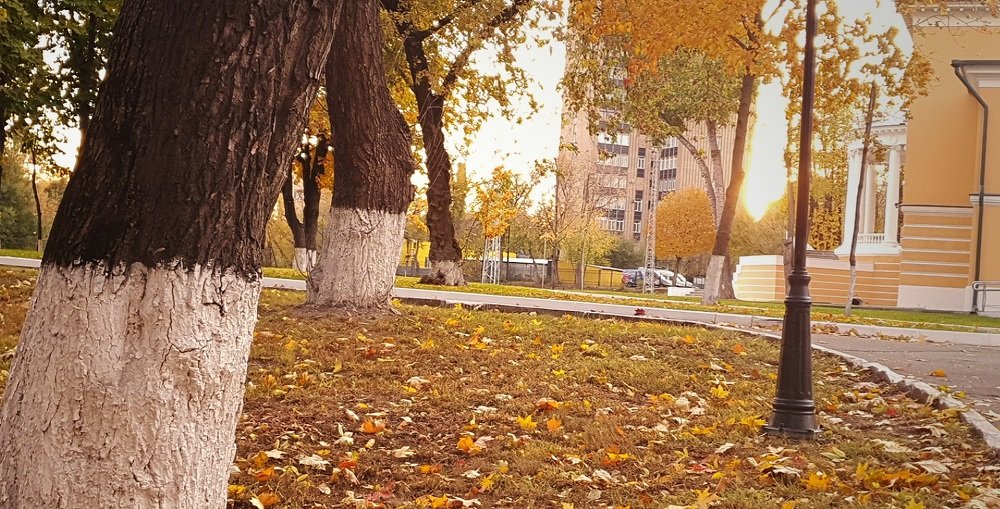 Photograph by Алина Веремеенко
