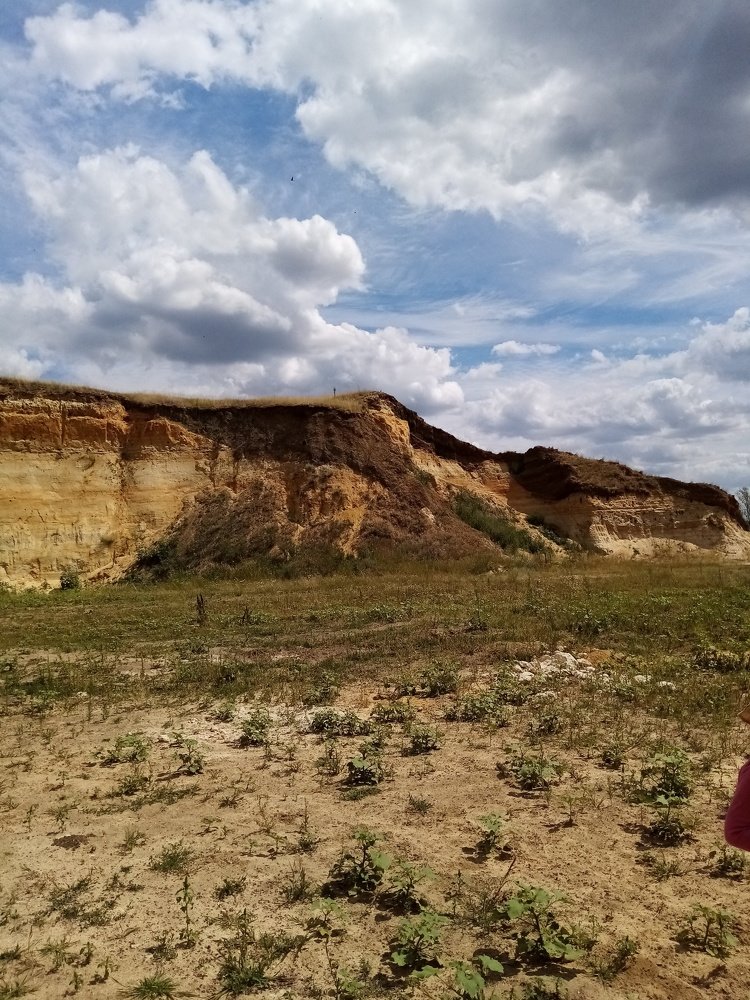 Photo #5071269