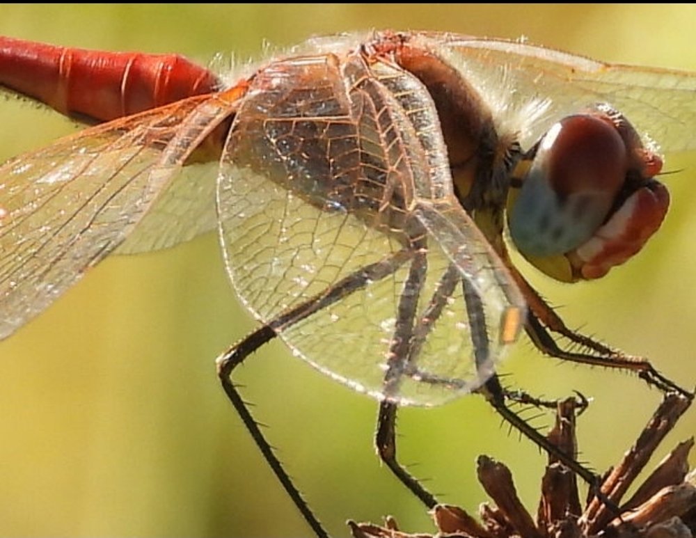 Photograph by Tamir Mor