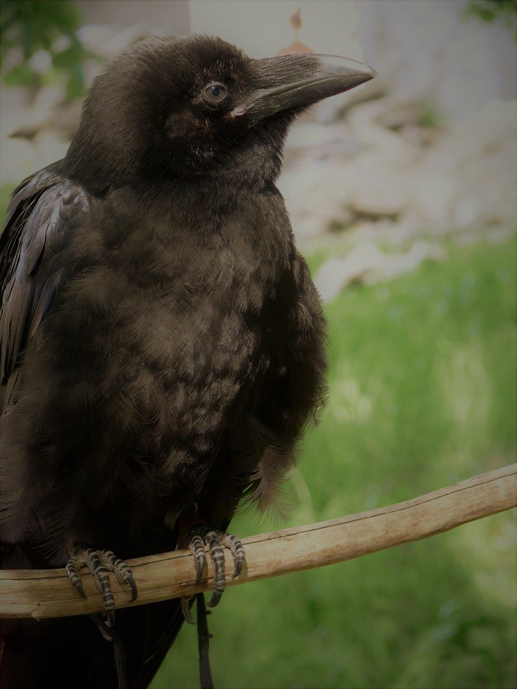 Photograph by Марина Игнатьева