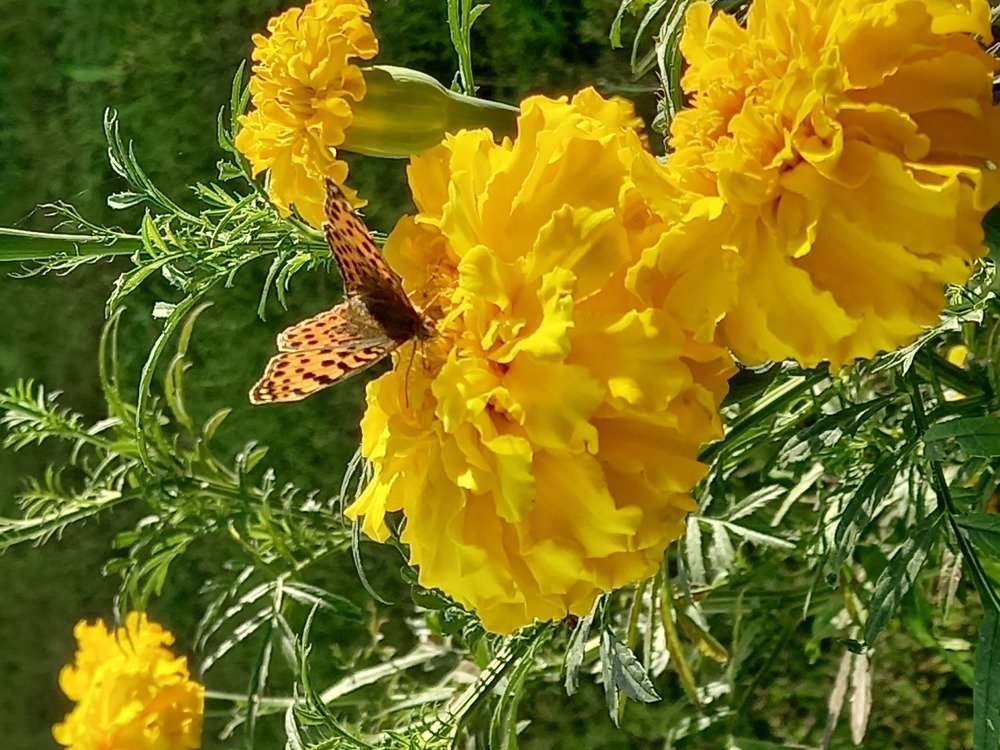 Photograph by Наталія Дронюк