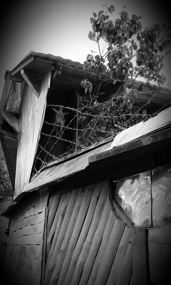 Photograph by Марина Игнатьева