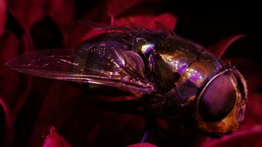 Photograph by Lesly Grace Advincula