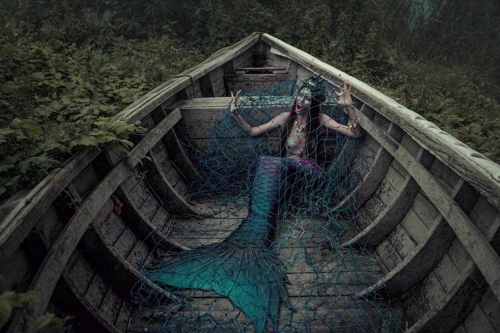 Фотография автора Mila Agafonova