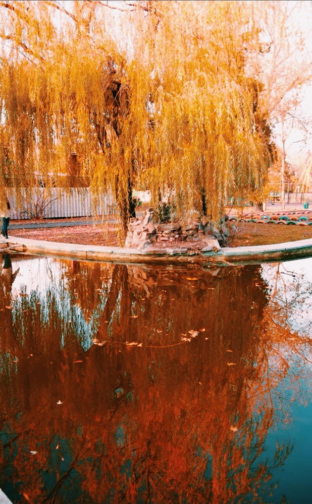 Photograph by Оксана Маракушина