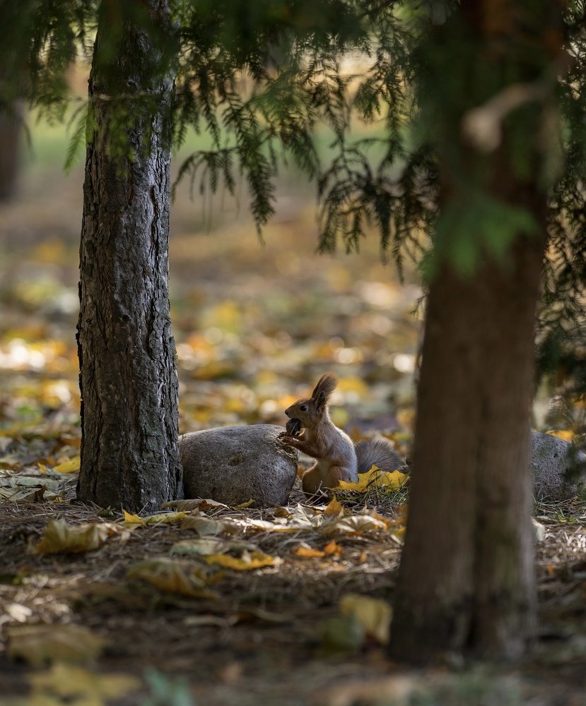 Photograph by Людмила Хакулова