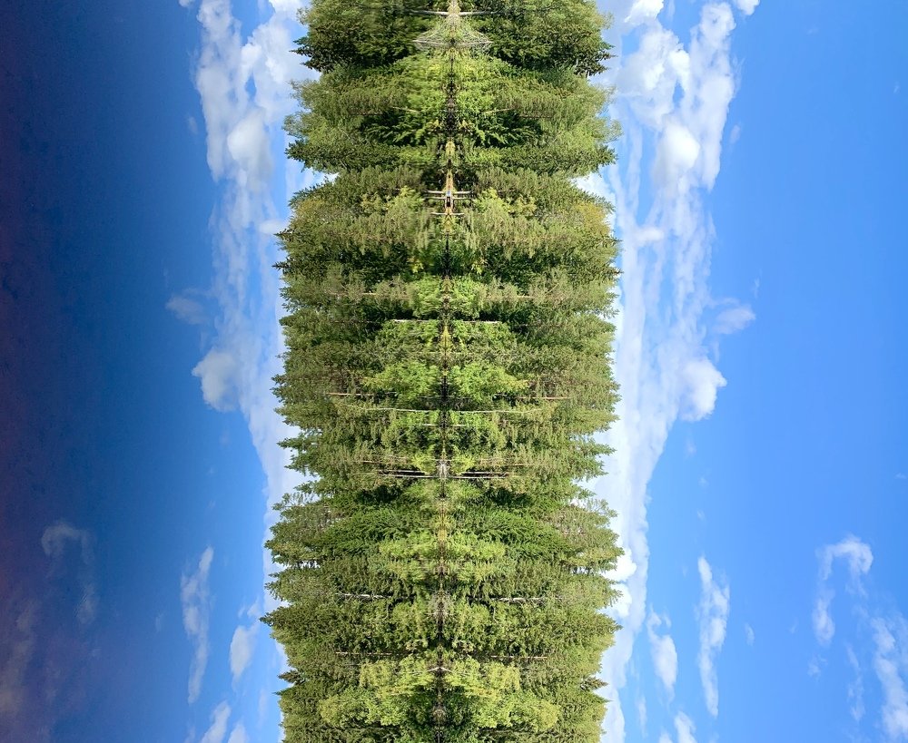 Photograph by Вера