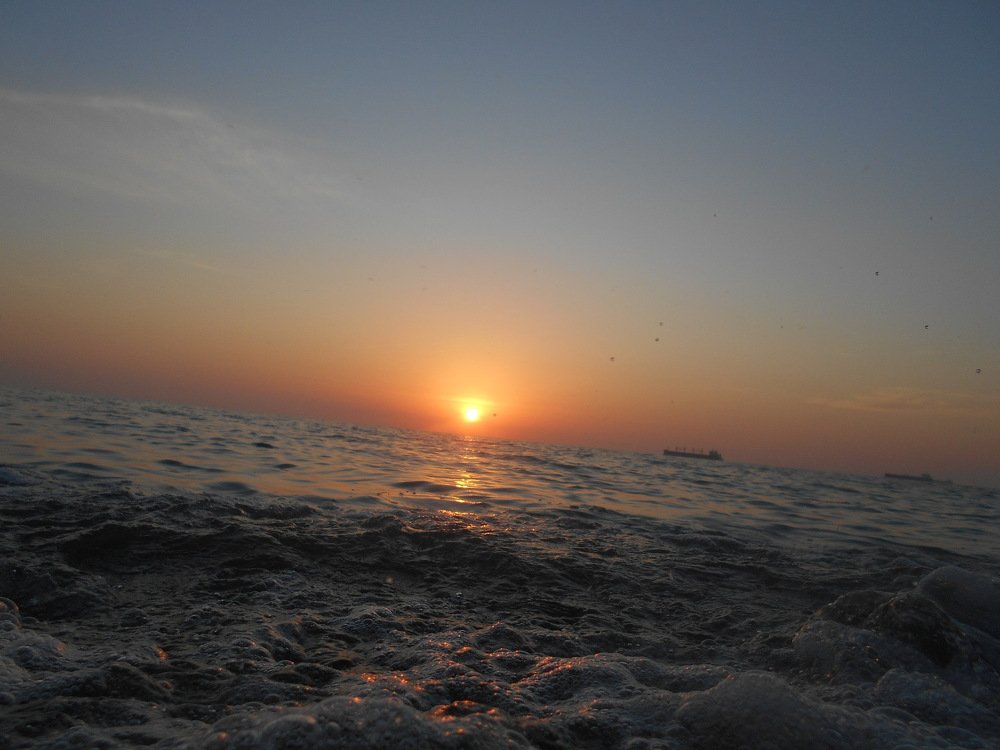Photo #5071446