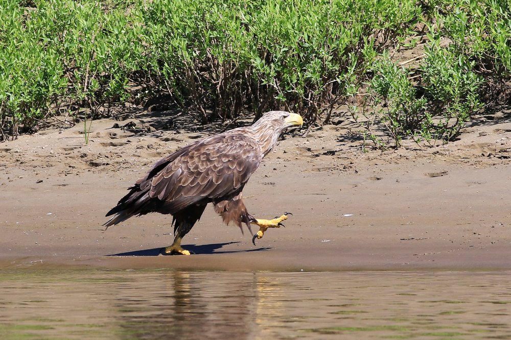 Фотография автора Олег Сенников
