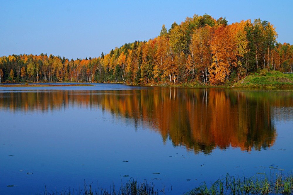 Photograph by Сергей Афанасьев