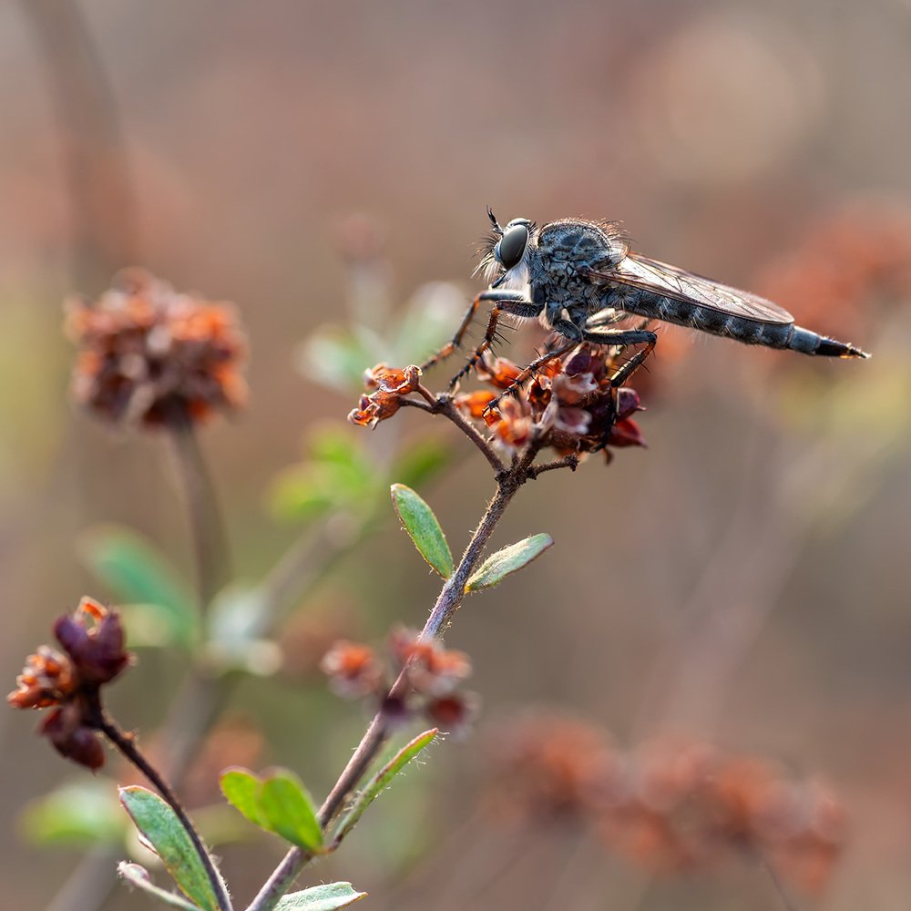 Photograph by Александр Земляной
