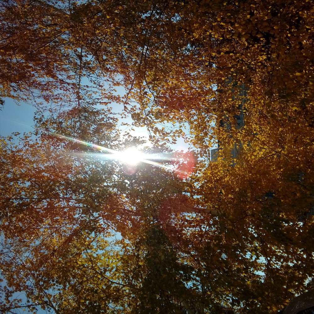 Photograph by Алия Байсыкова