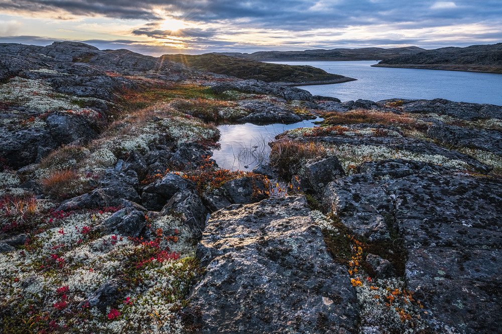 Photograph by Alexandra Alexia