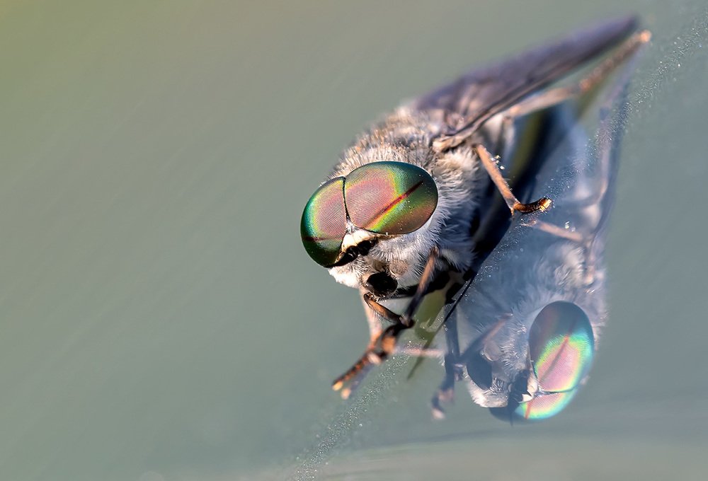 Photograph by Александр Земляной