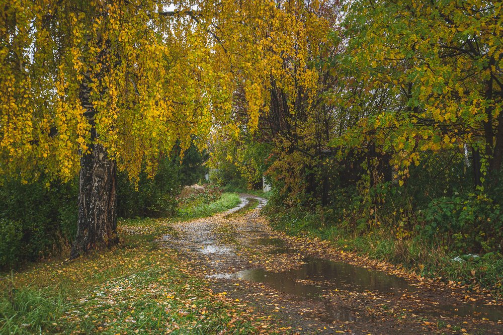 Photograph by Рымаров Александр