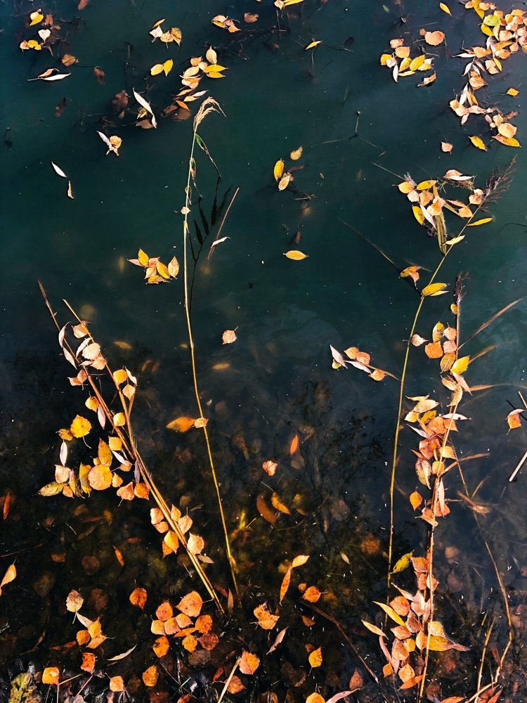 Photograph by Kaiser Sozo