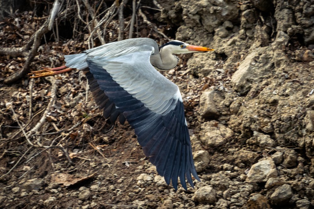 Photograph by Кобец Дмитрий