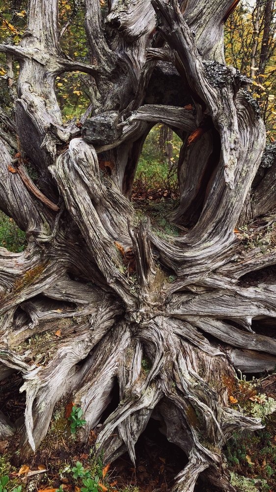 Photograph by Kaiser Sozo