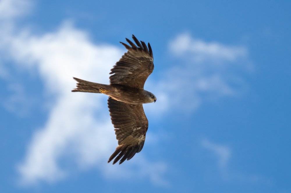 Photograph by Кобец Дмитрий