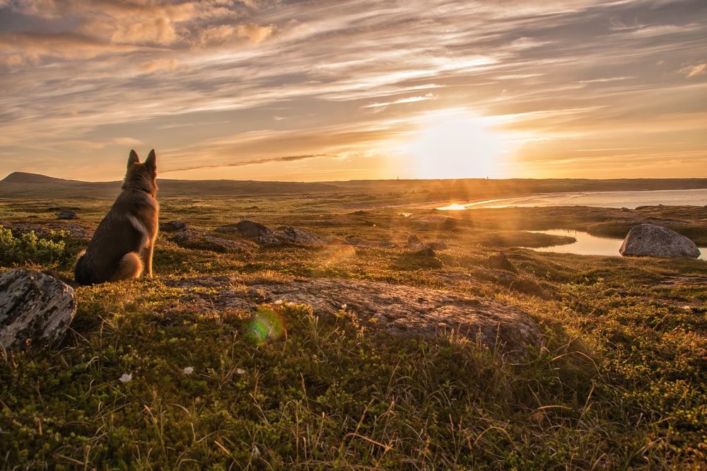Photograph by Екатерина Сорока