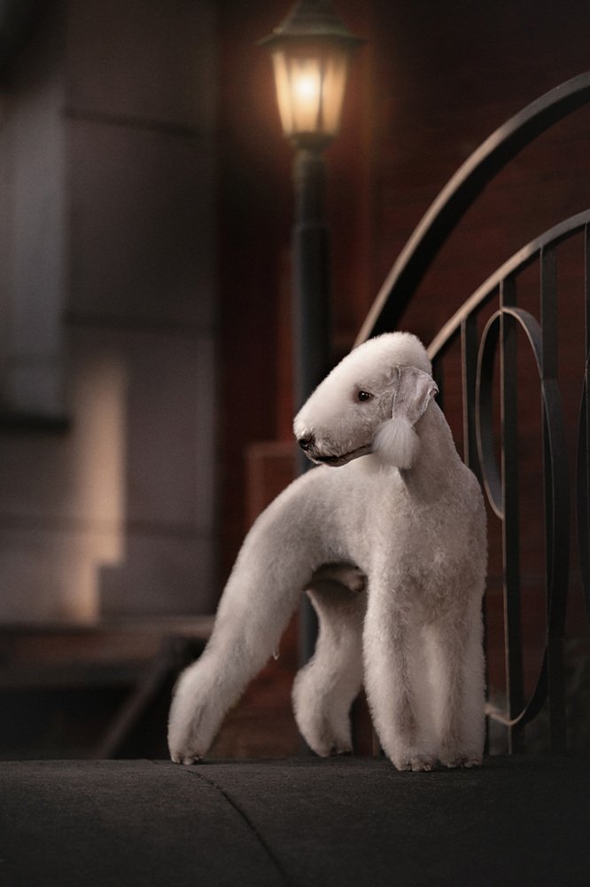 Фотография автора Оксана Серова