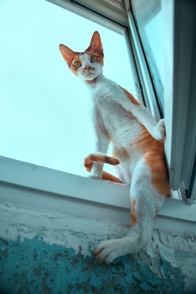 Photograph by Анастасия Запсельская