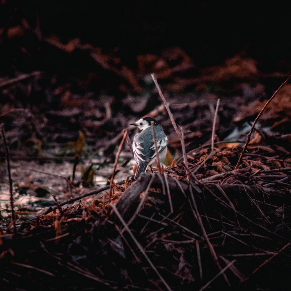 Photograph by Антон Мингалев