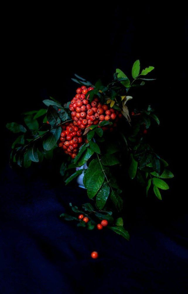 Photograph by Усатый Александр