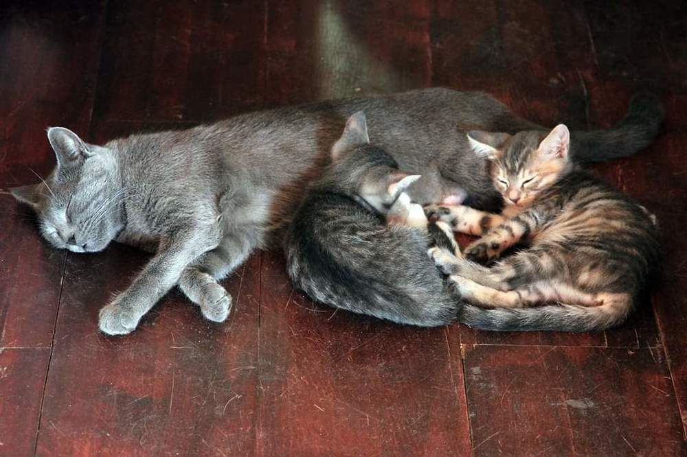 Photograph by Ольга Эркызан