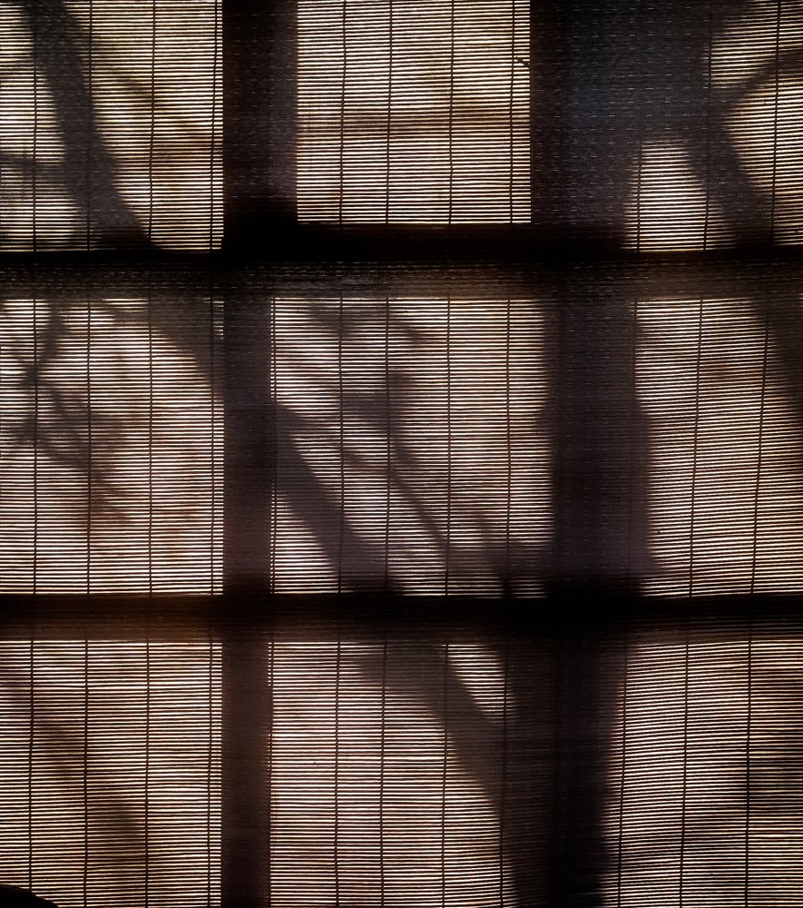 Photograph by Алена Устинович