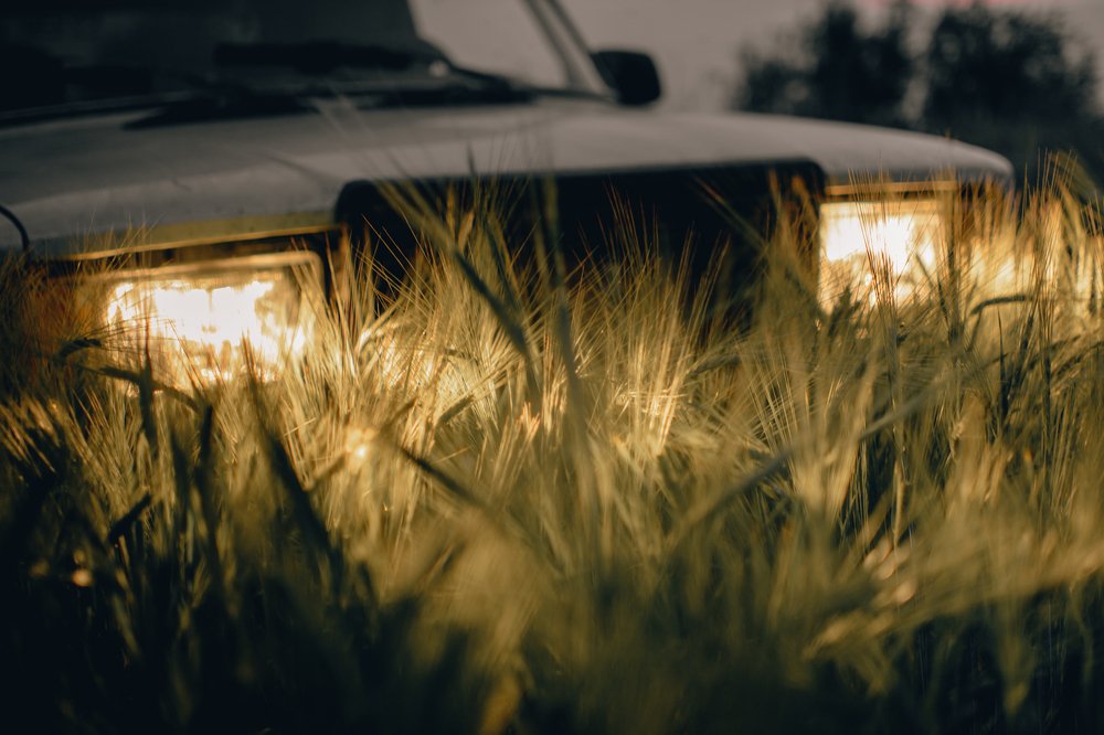 Photograph by Антон Мингалев