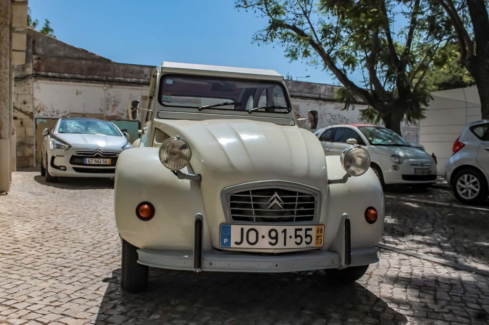 Photograph by Fernando de Jesus Costa