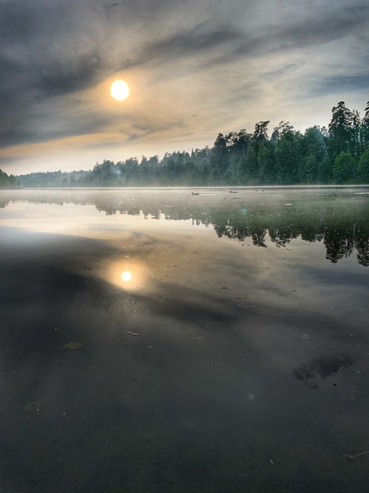 Photograph by Katalina