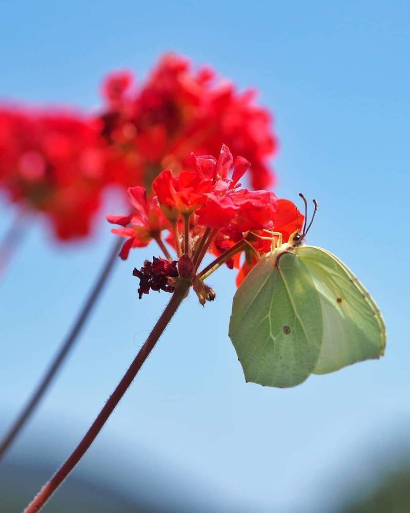 Photograph by Ольга Эркызан