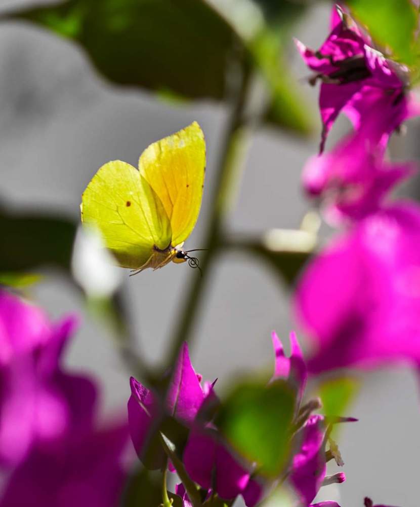 Photograph by Ольга Эркызан