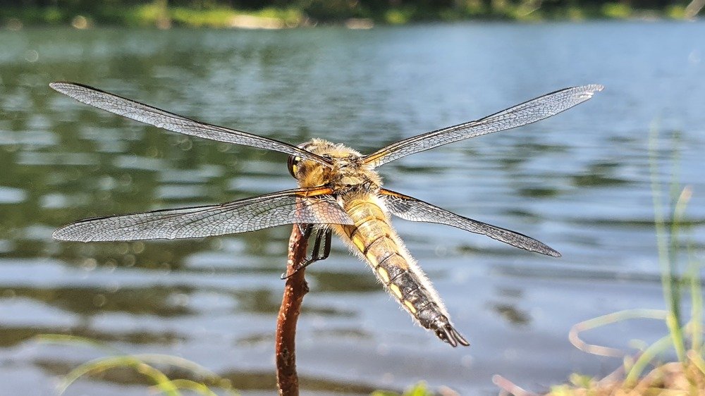 Photograph by Алексей Миронов