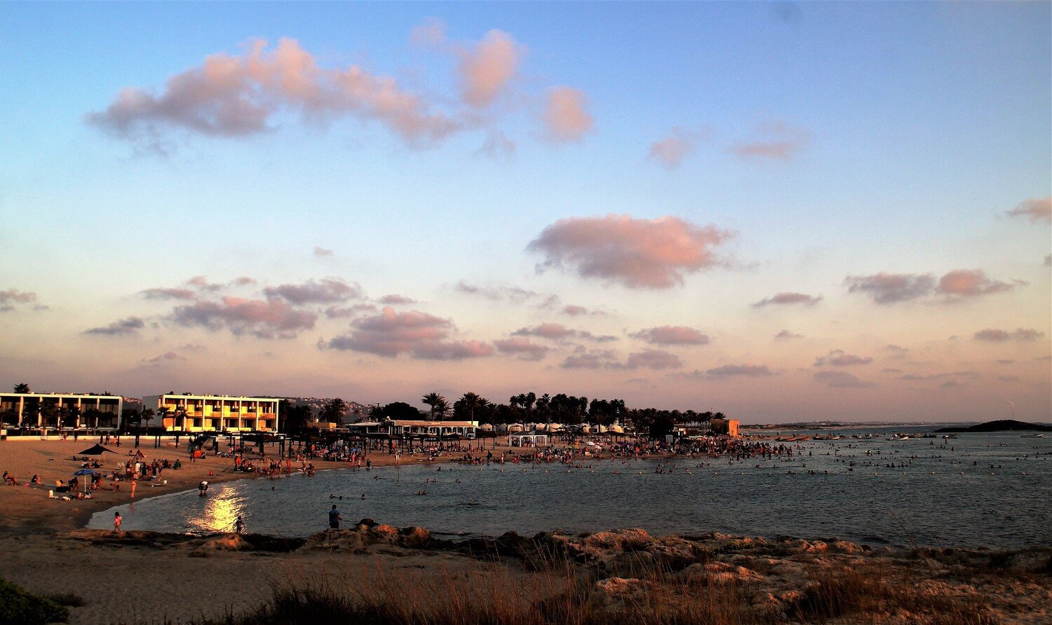 Photo #5071973