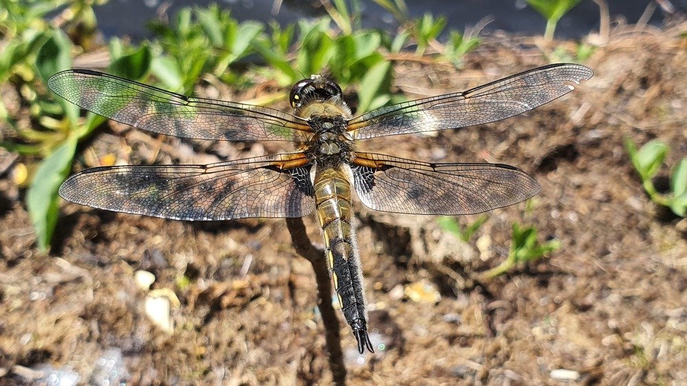 Photograph by Алексей Миронов