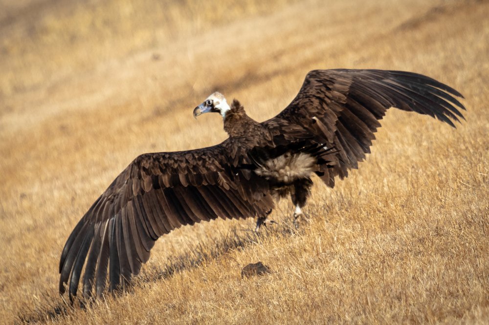 Photograph by Кобец Дмитрий