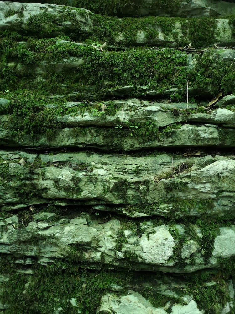 Photograph by Ирина Алексеевская